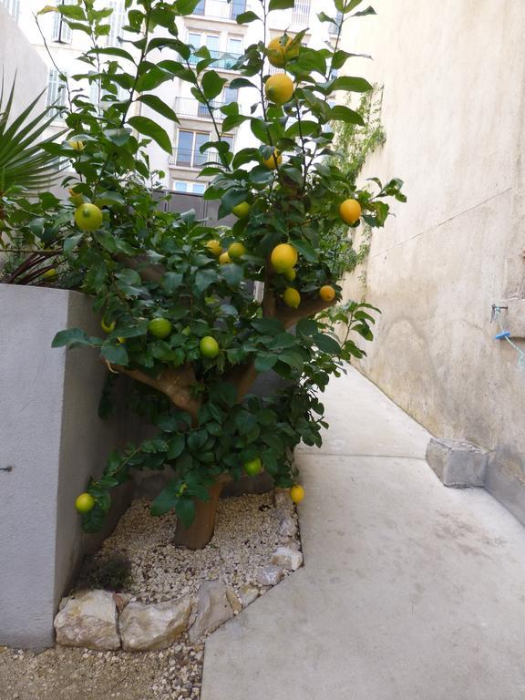 L'Orangeraie Et La Palmeraie D'Endoume Marsella Exterior foto
